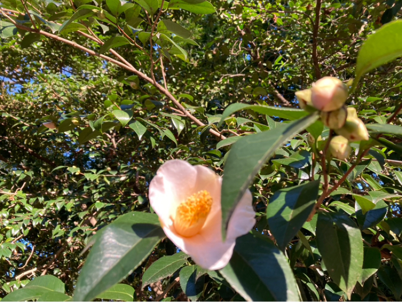 2026.1/3 場の質を決める