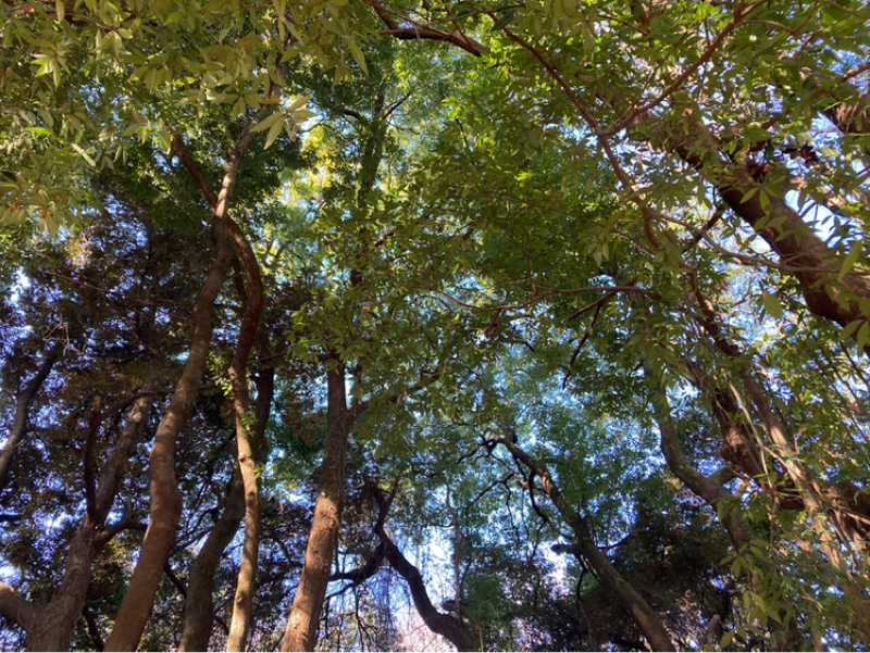 2026.1/4 ストレスと身体