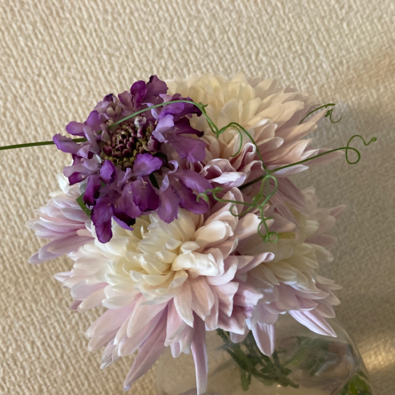 2026.1/6 大事な人としか会ってない