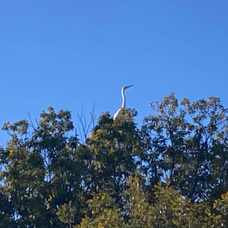 2026.1/10 結局、アリカタ