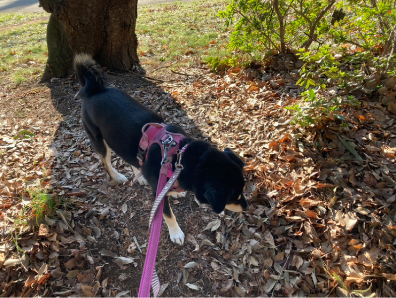 2026.1/13 五感を意識する豊かさ