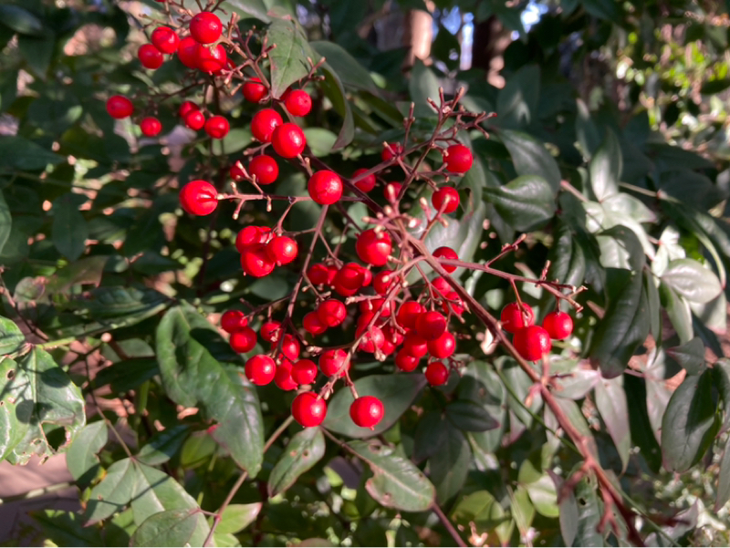 2026.1/15 内観する1人の時間