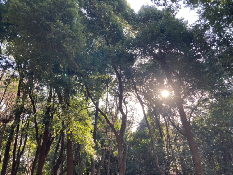 2026.1/18 明日は山羊座新月