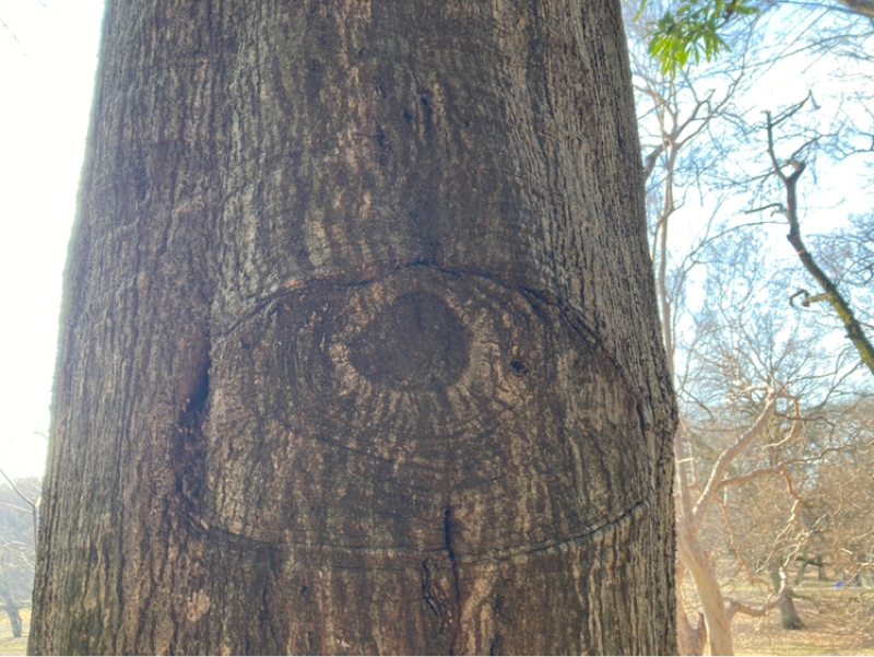 2026.1/19 それなりの点数