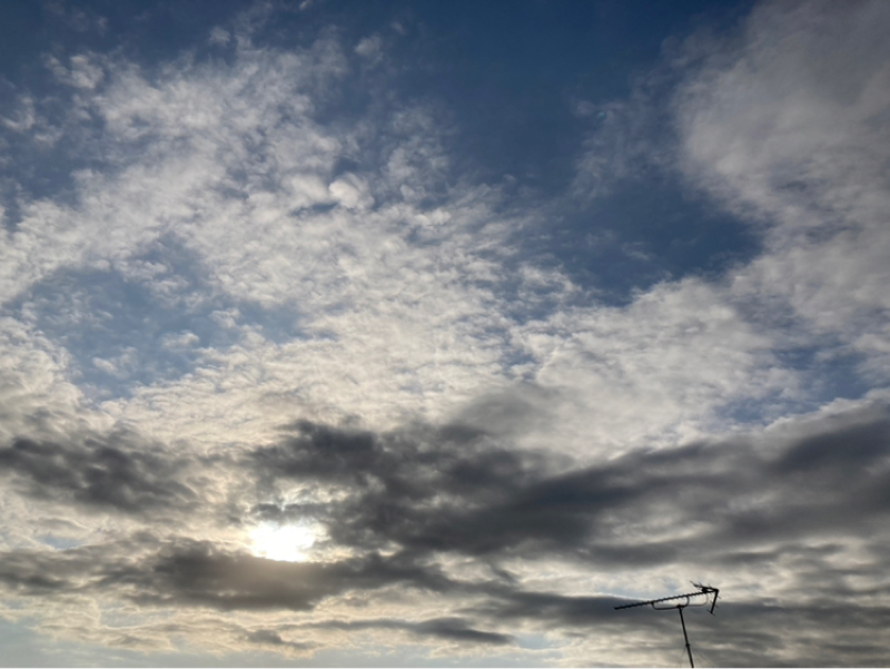 20261/20 曖昧から抜け出す