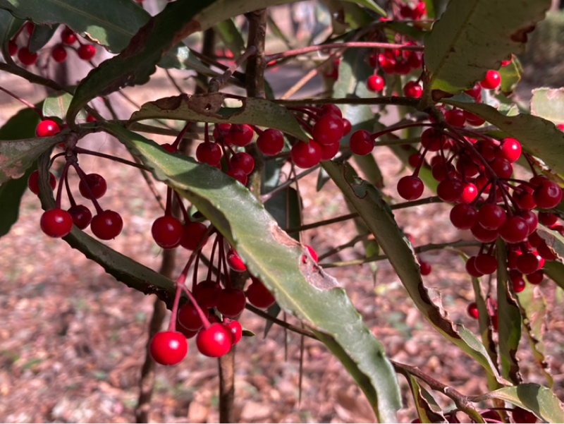 2026.1/21 力が入っていることに気づく