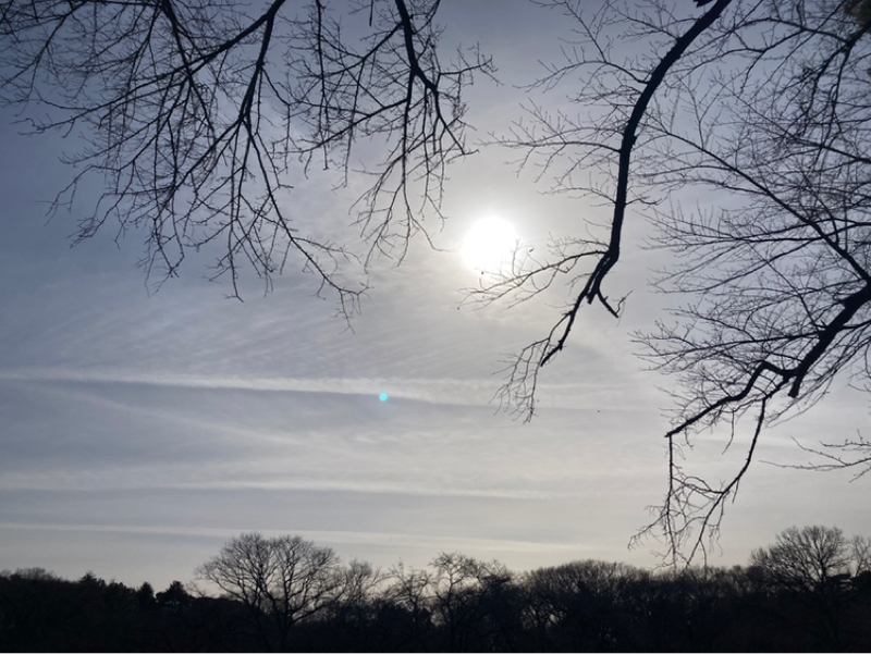 2026.1/26 天体の動きと現象