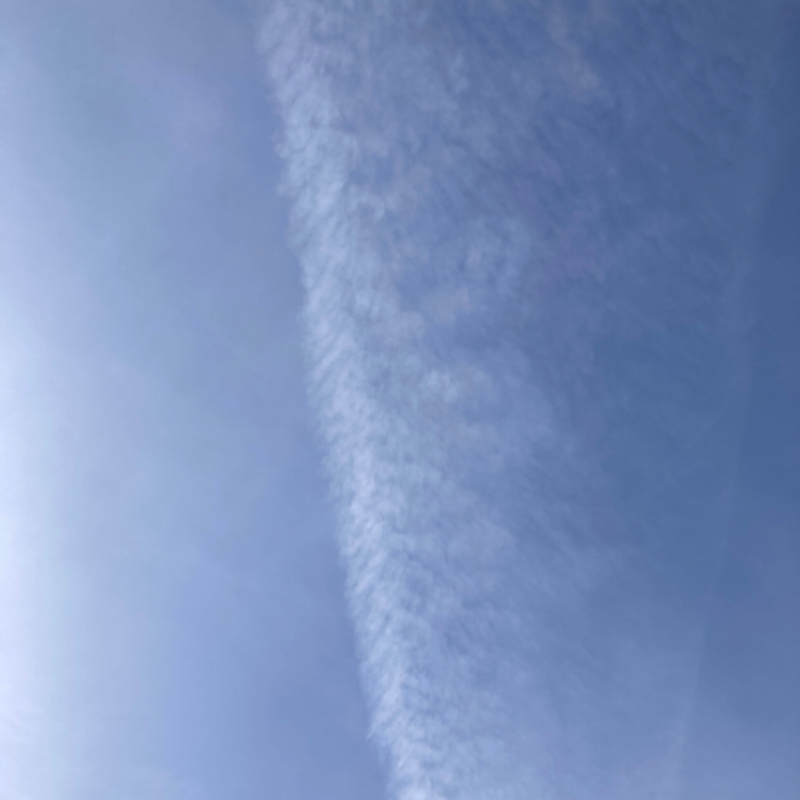 2026.1/27 目的と選択