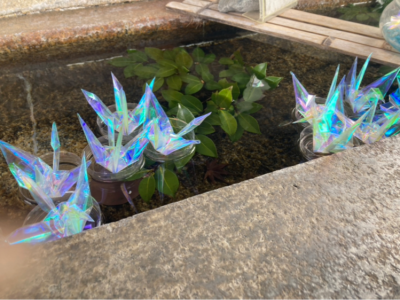 2026.1/29 ゾロ目祭りになったのは