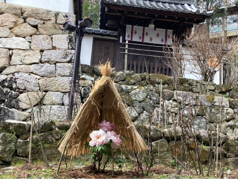 2026.1/30 巡ってくるご縁