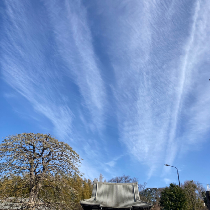 2026.1/31 その出会いのため