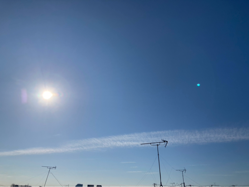 2026.2/4 外のなにかに反応したら