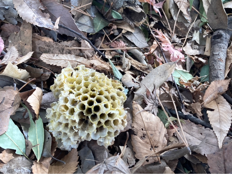 2026.2/6 まずは気づくことから