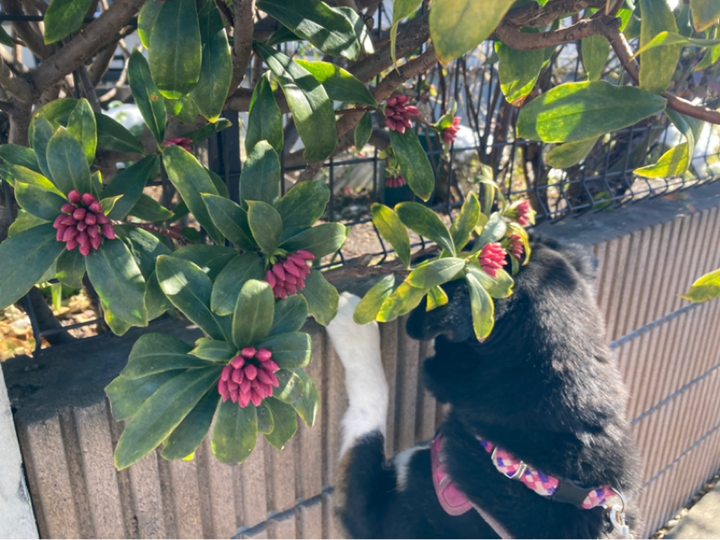 2026.2/9 エンパス体質の方へ