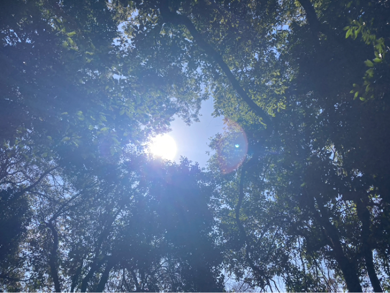 2026.2/10 エネルギーの取り込み方と循環