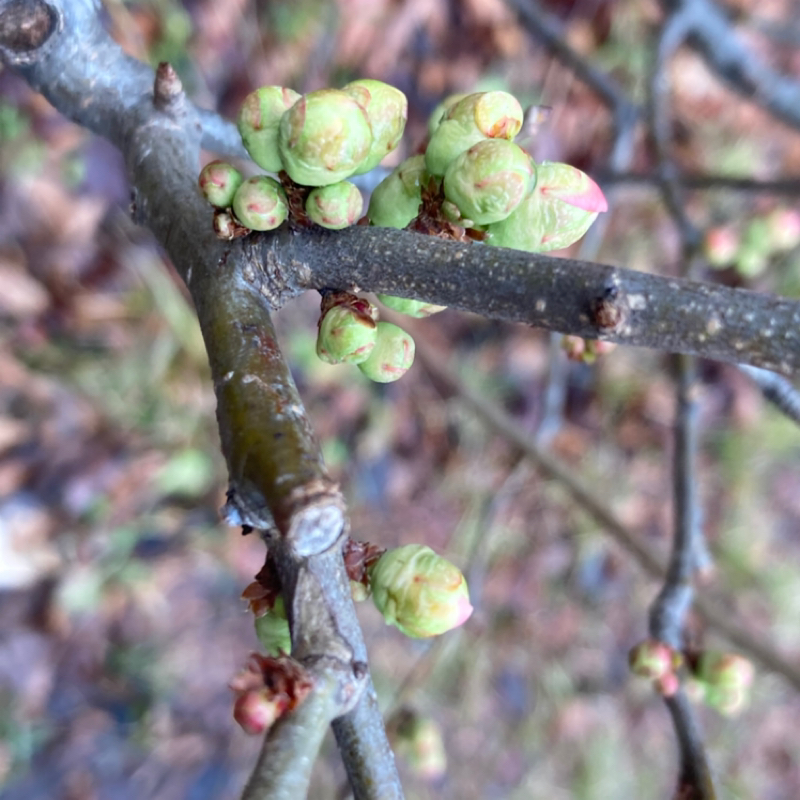 2026.2/11 設定と答え探し