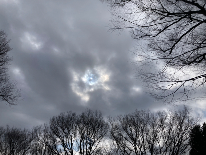 2026.2/13 自分の価値を認めるありがとう