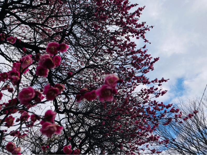 2026.2/15 出し惜しみは返りも少ない