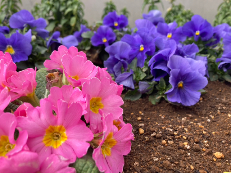 2026.2/17 元に戻る　思い出す