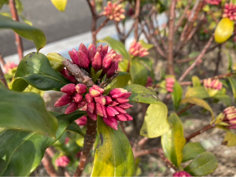 2026.2/18 小さな妥協をしない