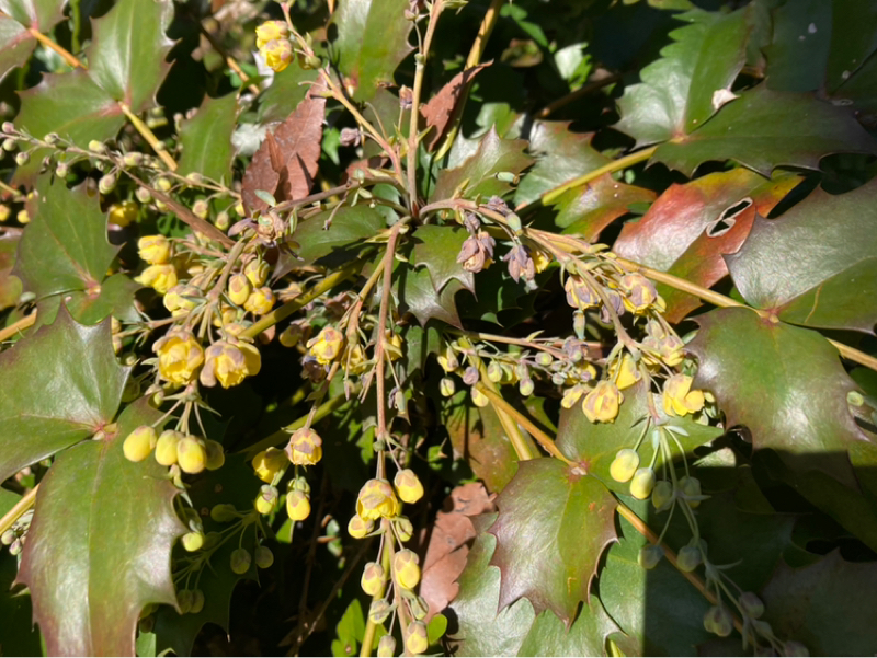 2026.2/19 息を合わせひとつになる