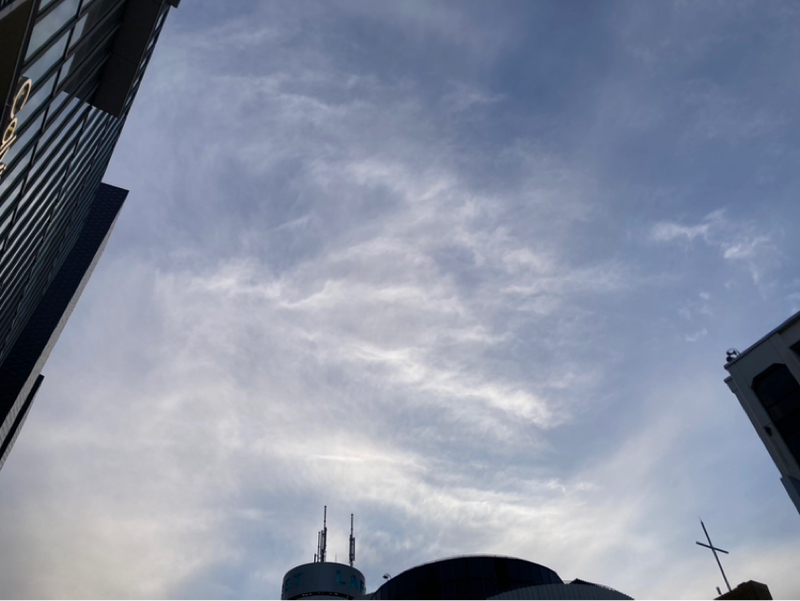 2025.2/20 新鮮なコマを選ぶ