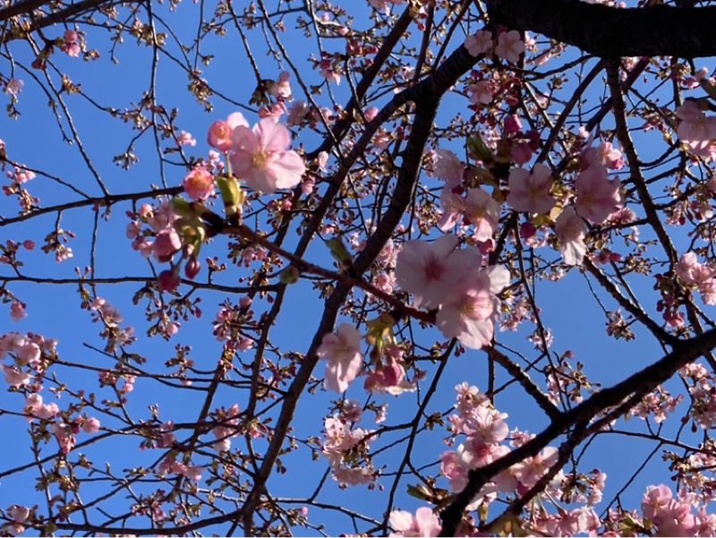 2026.2/21 能動的に始める