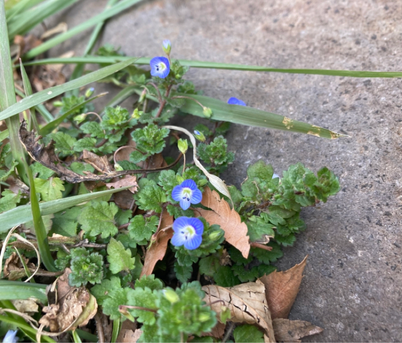 2026.2/22 声の振動から自分をみつける