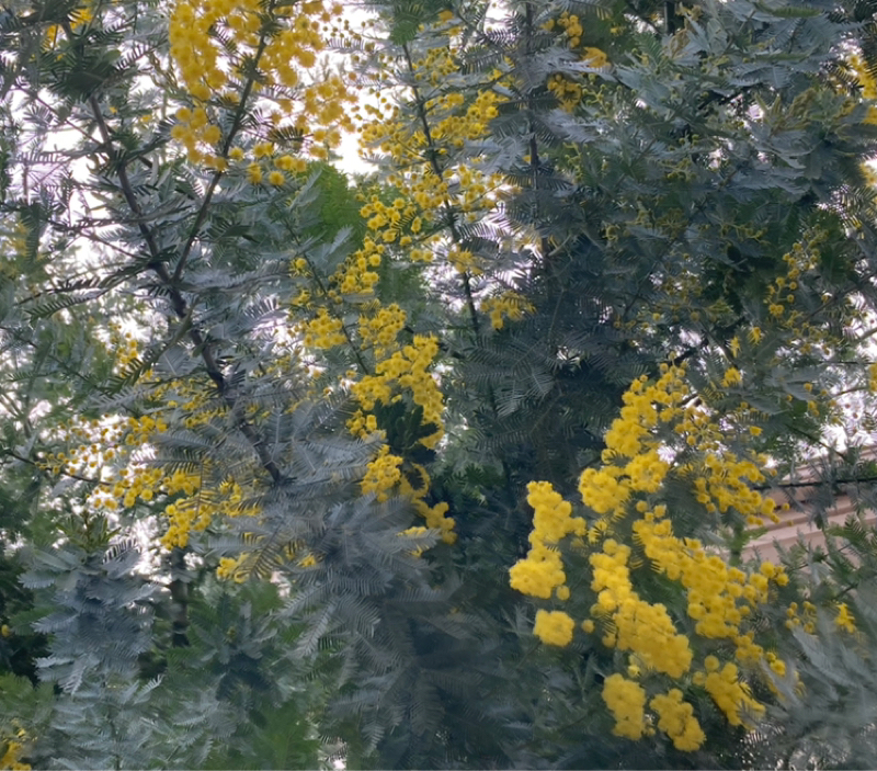 2026.2/24 自分の嘘は内側の違和感