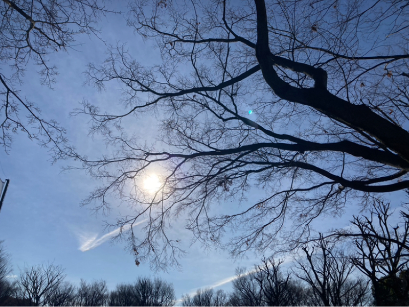 2026.2/27 集中力をアップするには