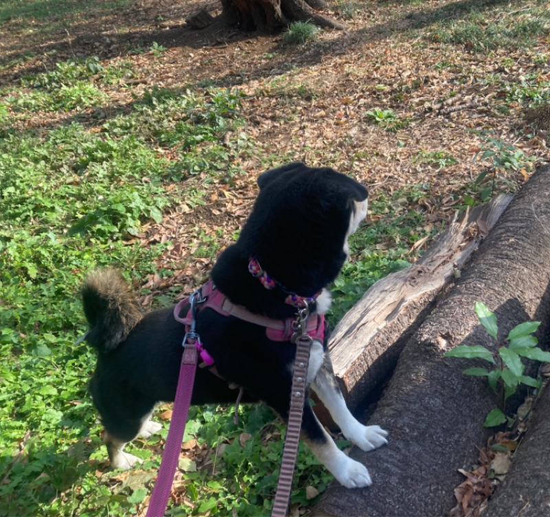 2026.3/4 冷静に対応する