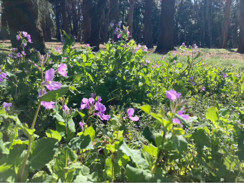 2026.3/5 もったいないのエネルギー