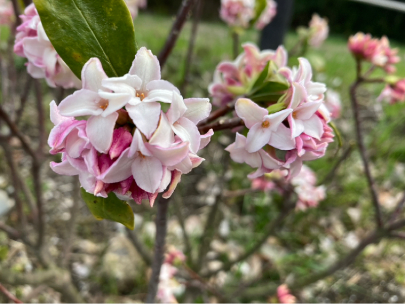 2026.3/6 人生神劇を元に書く