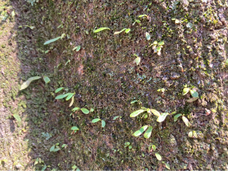 2026.3/7 突き抜ける変態