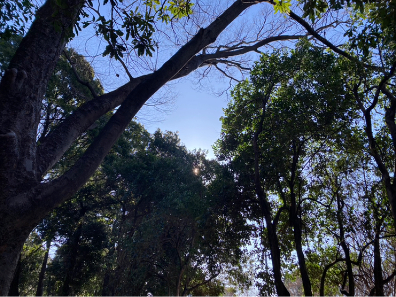 2026.3/8 ご縁の連鎖