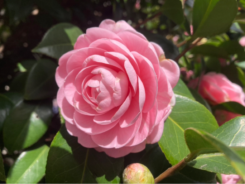 2026.3/9 能動的に選択する