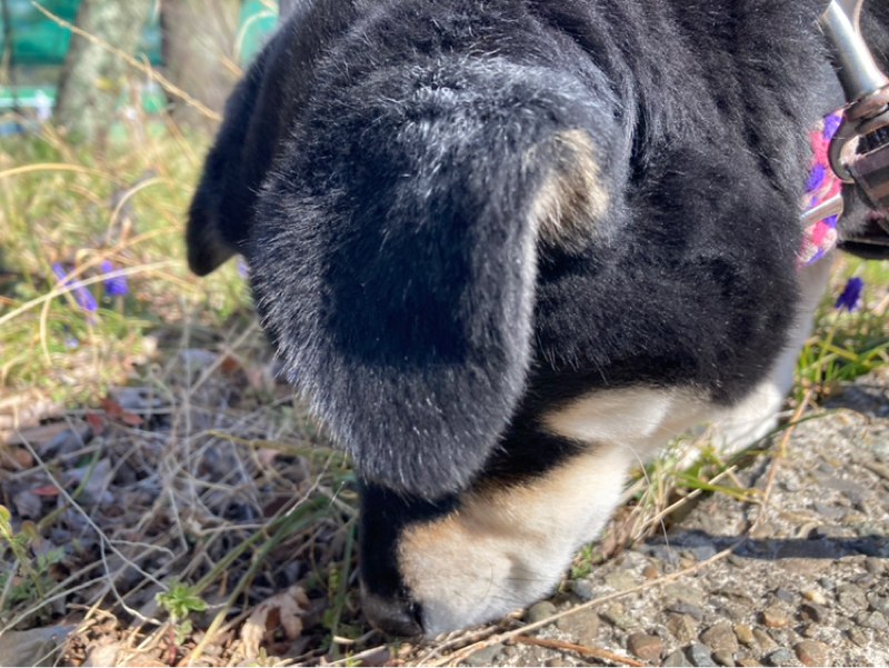 2026.3/12 小さな成功がやる気を生む