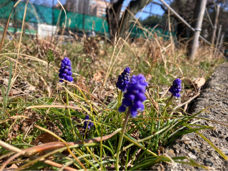 2026.3/13 必然と問いかけ