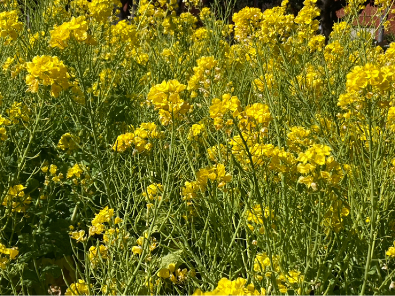 2026.3/15 意識の状態が全ての起点