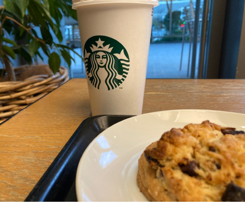 2026.3.16 本屋をぶらり