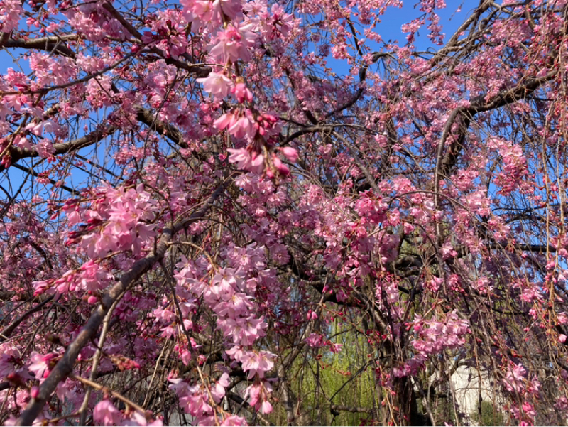 2026.3/22 あたりまえのことをあたりまえに