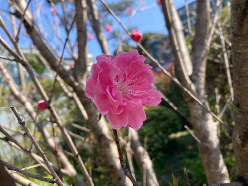 2026.3/23 7つの基本動作