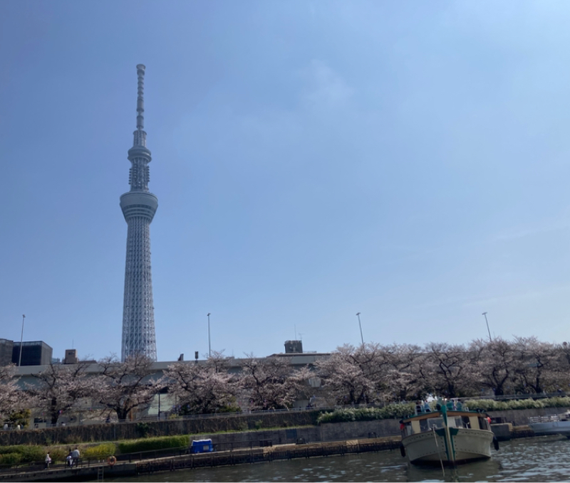 2026.3/28 屋形船でお花見