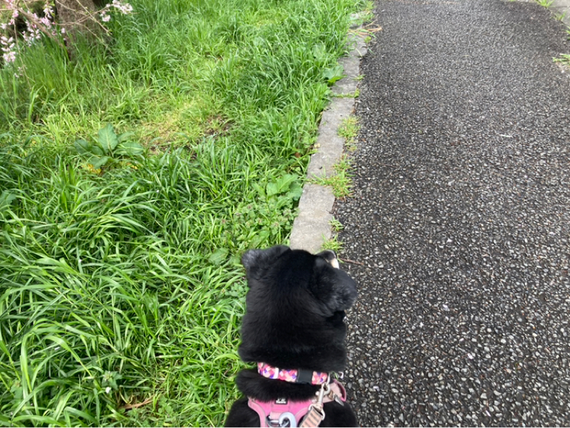 2026.3/30 行動しないことには