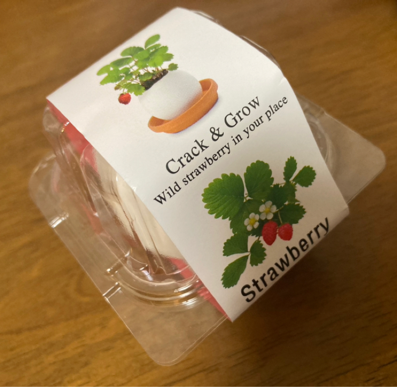 2026.4/1 習慣を意識的に選び直す