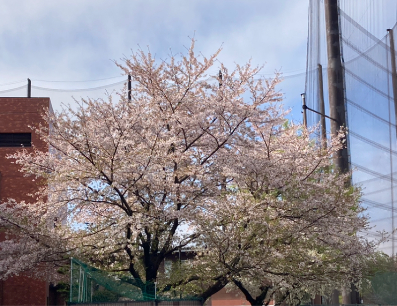 2026.4/5 わざわざ不快を選ばなくてよい