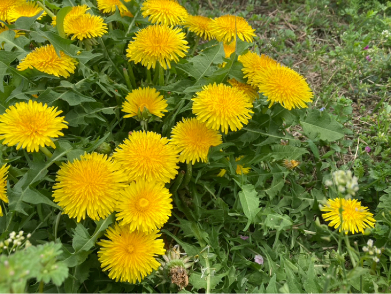 2026.4/6 なにもないがない