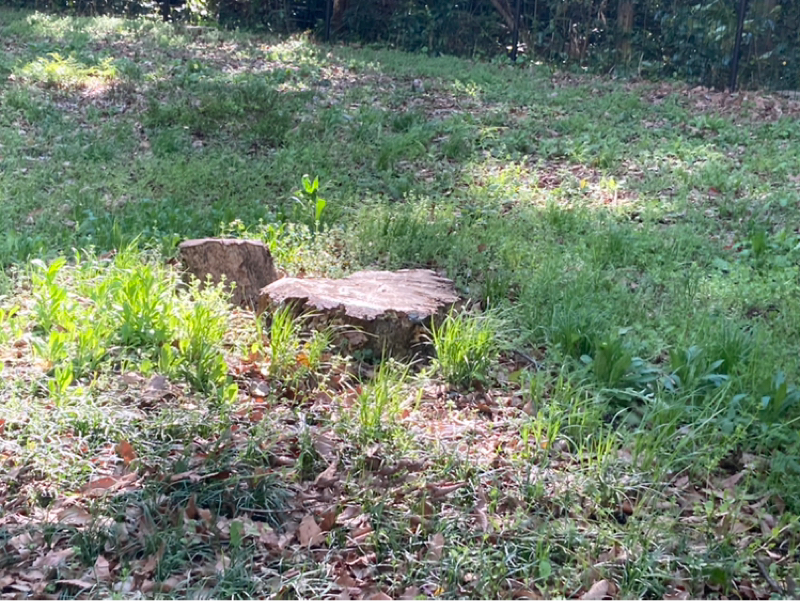 2026.4/8 すべてはつながってるの実証