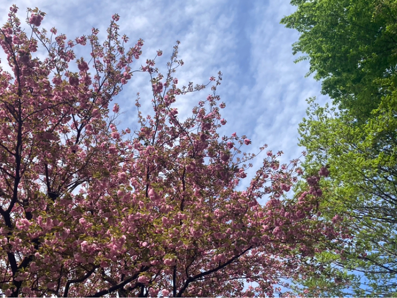 2026.4/12 考えるな行動しろ