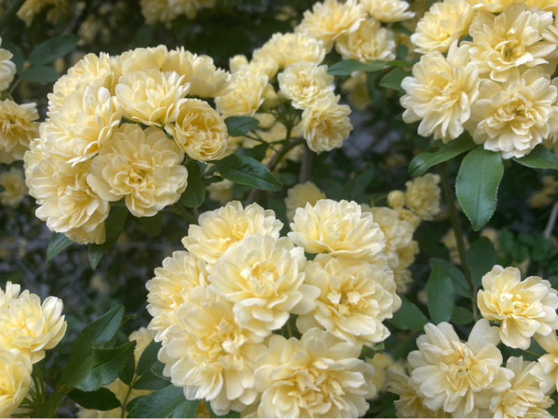 2026.4/13 身口意はこの順番